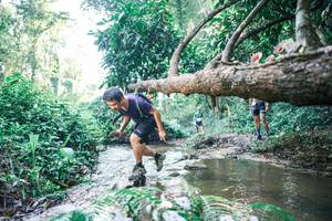 BIB: 
                            <button type="button" onclick="openModal(25432598)" class="btn btn-primary btn-sm float-right btn-popup" data-toggle="modal" data-target=".modal-high-quality">
                        <i class="fas fa-shopping-cart"></i> Add to Cart
                    </button>
                                            <button type="button" onclick="isThisMe(25432598, true)" class="btn btn-success btn-sm float-right btn-popup btn-isme hidden" data-toggle="tooltip" data-placement="bottom" title="นี่คือรูปของคุณใช่ไหม คลิกที่นี่เพื่อเอาเข้าอัลบั้ม">
                        <i class="fas fa-plus"></i> Add to album
                    </button>
                    <button type="button" onclick="isThisMe(25432598, false)" class="btn btn-warning btn-sm float-right btn-popup btn-isnotme hidden">
                        <i class="fas fa-ban"></i> Remove from album
                    </button>